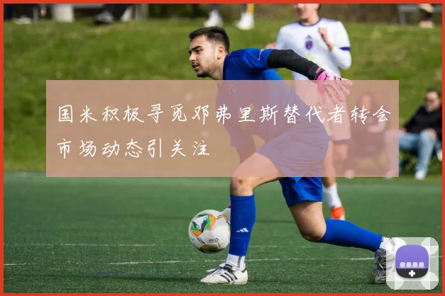 国米积极寻觅邓弗里斯替代者转会市场动态引关注